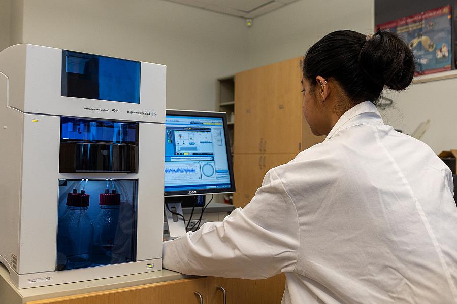 Students using a Capillary Electrophoresis (CE) instrument.